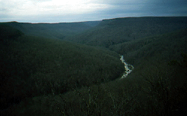 Looking Downstream in the Gulf