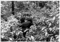 Much like their settler predecessors, these gentlemen seem to be trailblazing a path through the dense summer undergrowth